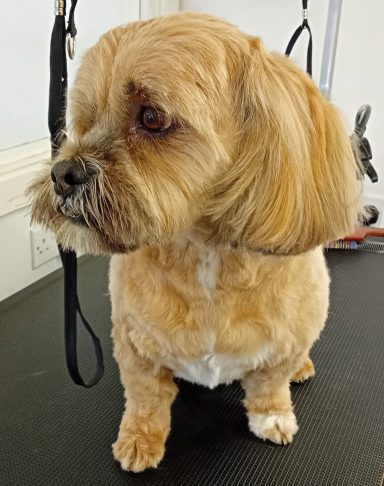 Max